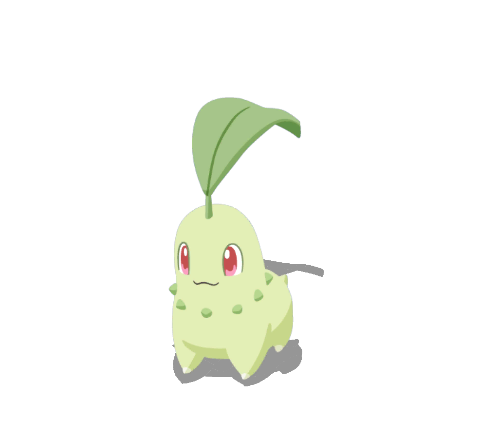 Chikorita