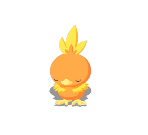 Torchic