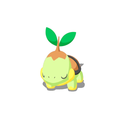 Turtwig