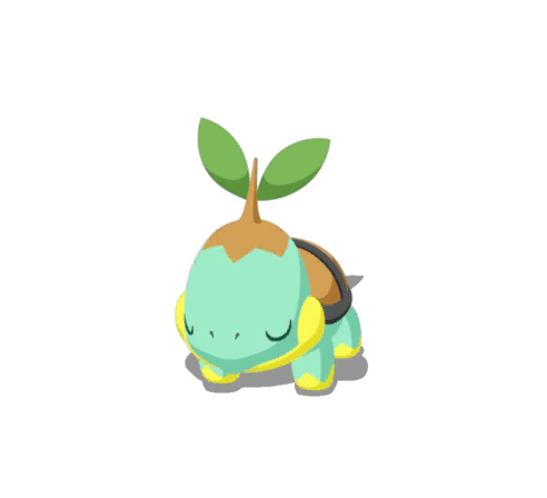 Turtwig