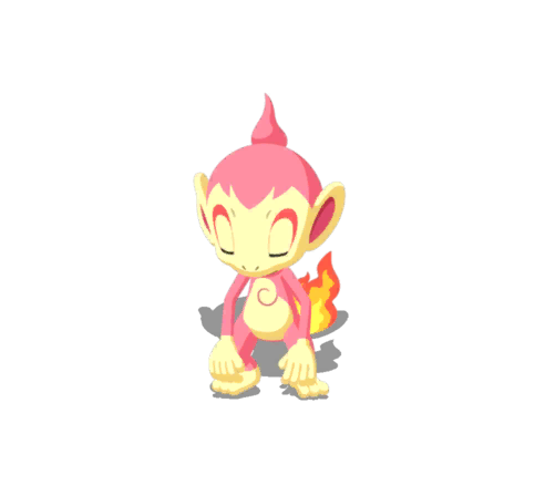 Chimchar