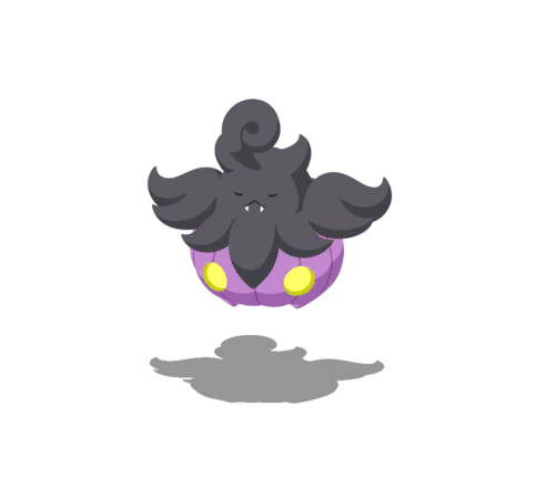 Pumpkaboo Var. Pequea