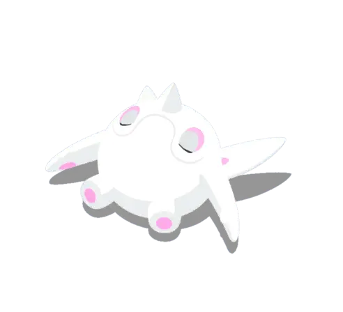 Cetoddle