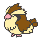 pidgey