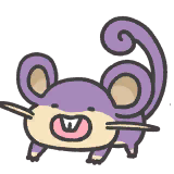 rattata