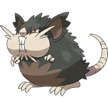 Raticate de Alola