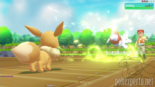 Imagen del movimiento