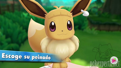 Peinados para los iniciales