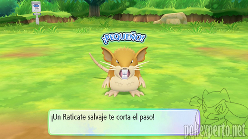 Pokmon salvajes