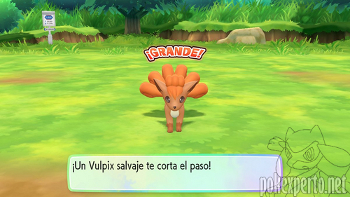 Pokmon salvajes