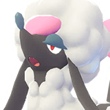 Furfrou Corte Corazn