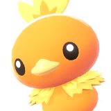 Torchic