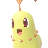 Chikorita
