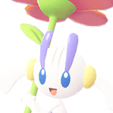 Floette Flor Naranja