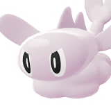 Tatsugiri Forma Lánguida