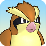Pidgey