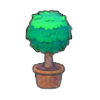 Arbolito enroscado