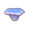 Coral peque�o