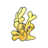 Coral vertical