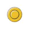 Medalla ci�naga