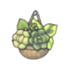 Planta colgante