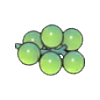 Uvas de mar