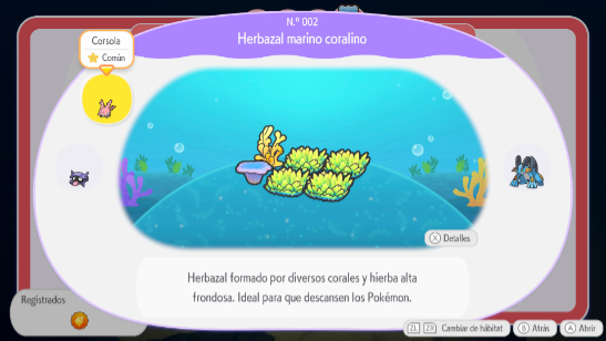 Herbazal marino coralino