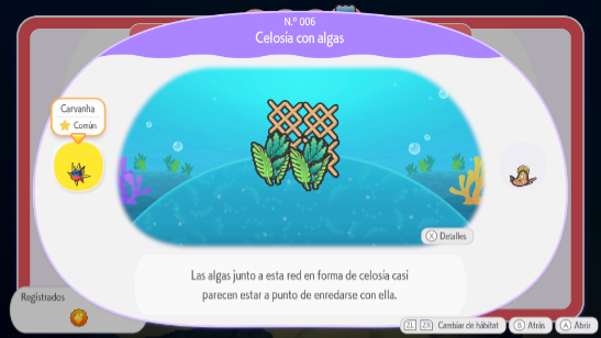 Celos�a con algas