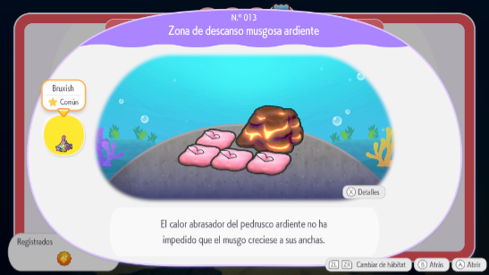 Zona de descanso musgosa ardiente