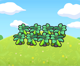 Huerto de verduras frescas