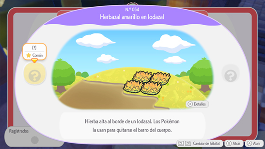 Herbazal amarillo en lodazal