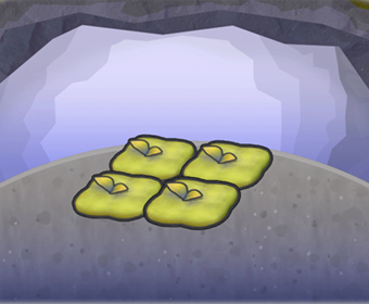 Zona de descanso musgosa