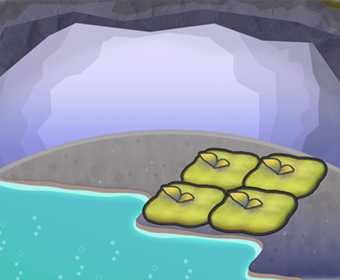 Ba�os termales musgosos