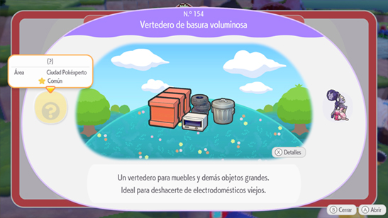 Vertedero de basura voluminosa