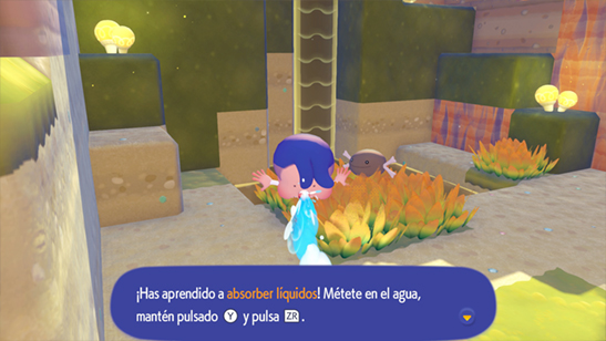 Absorber l�quidos