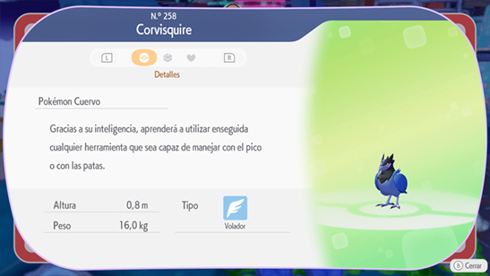 Corvisquire