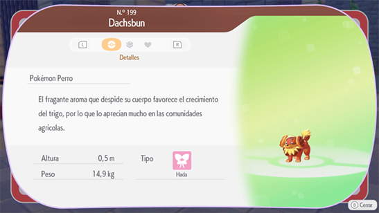 Dachsbun