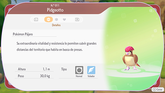 Pidgeotto