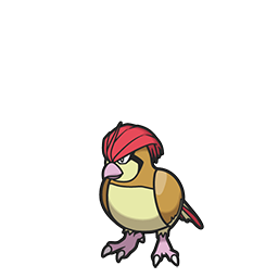 Pidgeotto