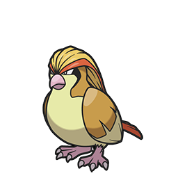Pidgeot