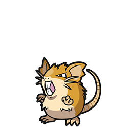 Raticate
