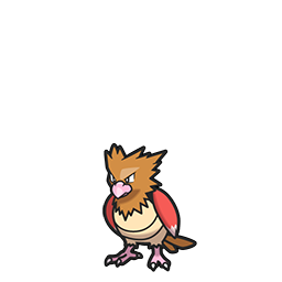 Spearow