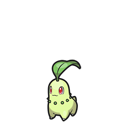 Chikorita