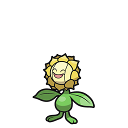 Sunflora