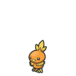 Torchic