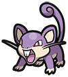Rattata