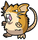 Raticate