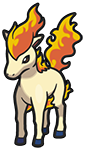 Ponyta