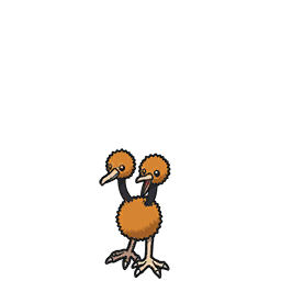 Doduo