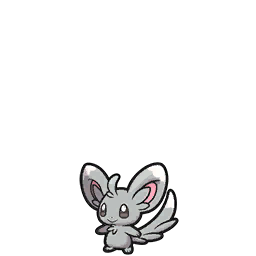 Minccino